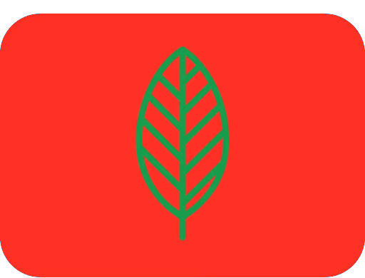 ecosoc_flag emote