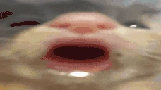 SMOKTUN emote