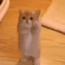 Please emote