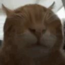 buhlind emote