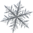 snowflake emote