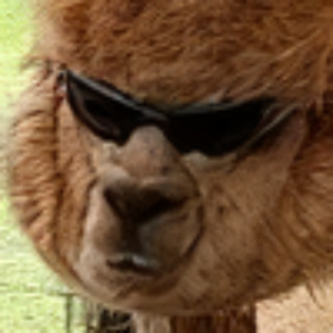 ethantp avatar