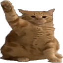catHey static emote