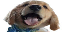 MILO emote