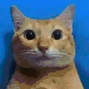 photo emote