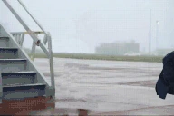 BidenBLJ emote