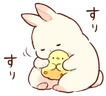 duck_bunny emote