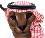 AbdulFlop emote