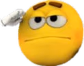 Salute emote