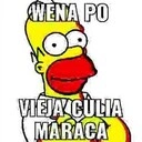 WenaPoViejaCuliaMaraca static emote
