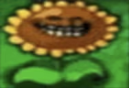 Flower emote