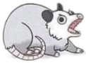 possum emote