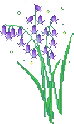 purple_flower_plant emote