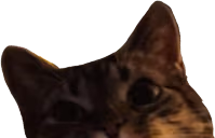 lucyPeek emote