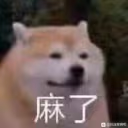 shibal emote