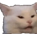 ConfusedCat emote