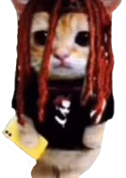 emo_cat emote