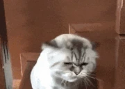 GETAWAY emote