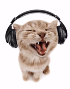 Cat_With_Headphones emote