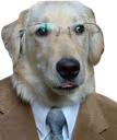 businessdog emote