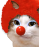 kiisu_clown emote