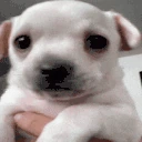 Scared emoji