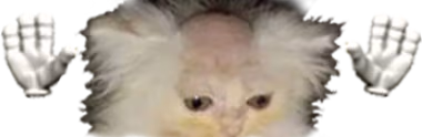 BagelCaught emote
