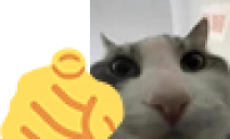AREYOUWIRES emote