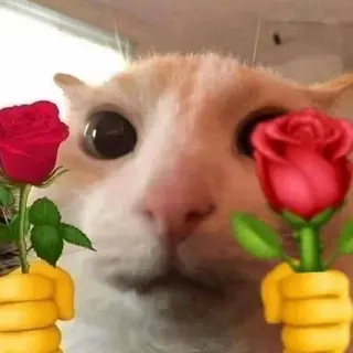 Love4you emote