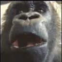 AYOOO emote