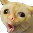 COUGH emote