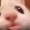 BLA emote