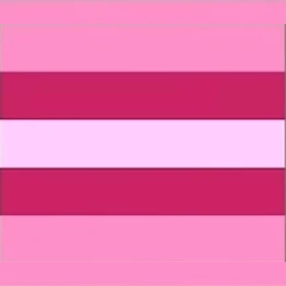 other_transfem_flag emote