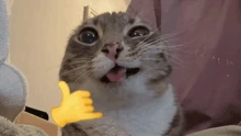 swag emoji
