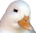 isforsus emote