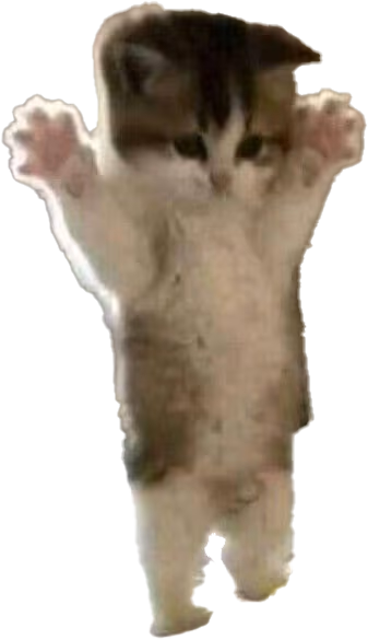 CatStand emote