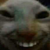 xdd emote