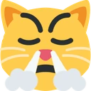 triumph_cat emote
