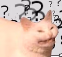 confused_cat emote