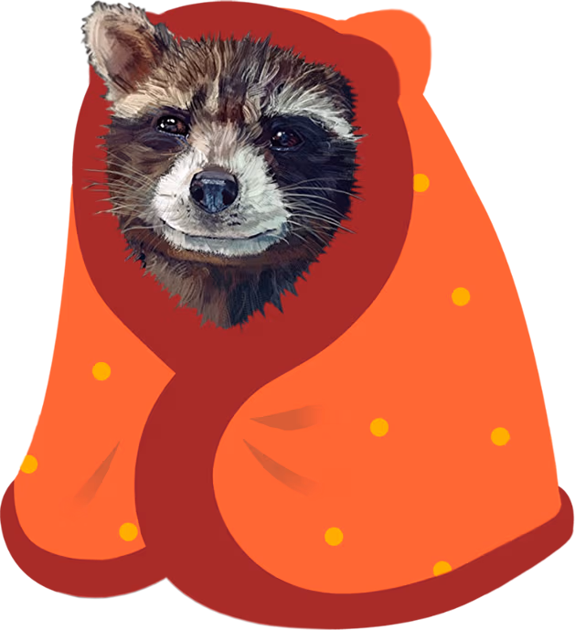 RocketInABlanket emote