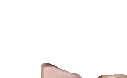 vvp animated emote