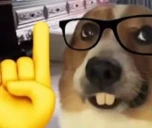 actually emoji