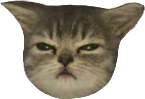 COP_Sulking_Cat emote