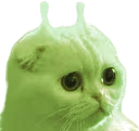 clorp emote