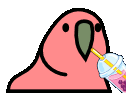bobaParrot animated emote