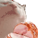 catHAM animated emote