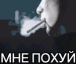 Pohuy emote