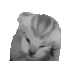 The_Voices emote