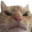 angry emote
