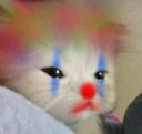 CE_ClownCat emote